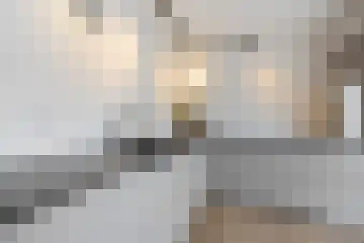 Ambachtshof 4 Bergharen thumbnail 17