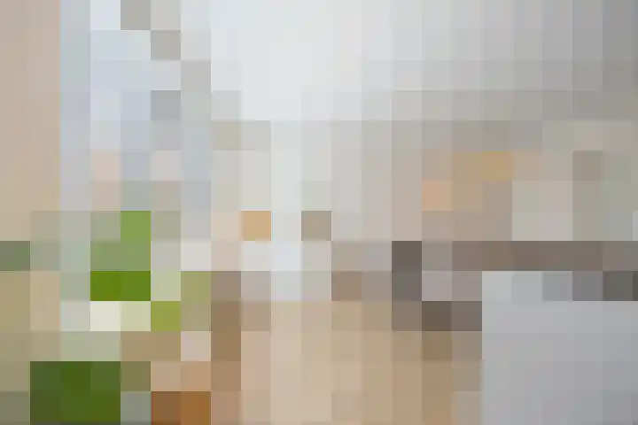Ambachtshof 4 Bergharen thumbnail 18