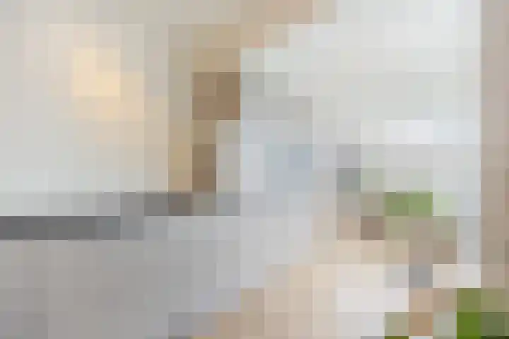 Ambachtshof 4 Bergharen thumbnail 19