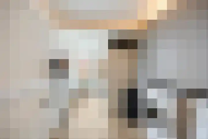 Ambachtshof 4 Bergharen thumbnail 26