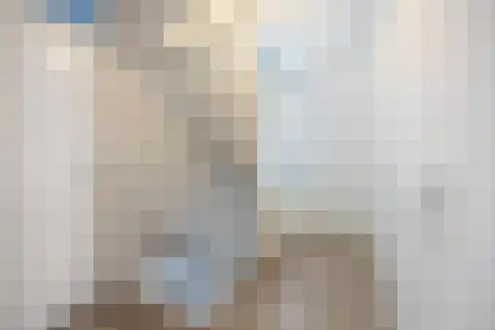 Ambachtshof 4 Bergharen thumbnail 30