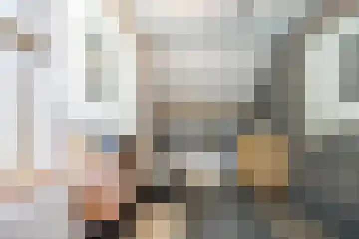 Ambachtshof 4 Bergharen thumbnail 32