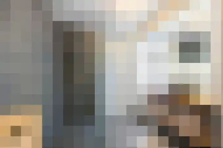 Ambachtshof 4 Bergharen thumbnail 37