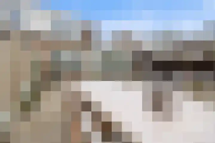 Ambachtshof 4 Bergharen thumbnail 4