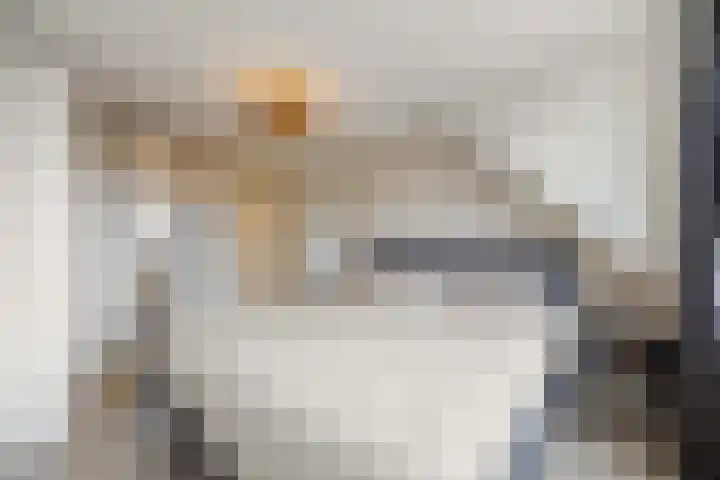 Ambachtshof 4 Bergharen thumbnail 40