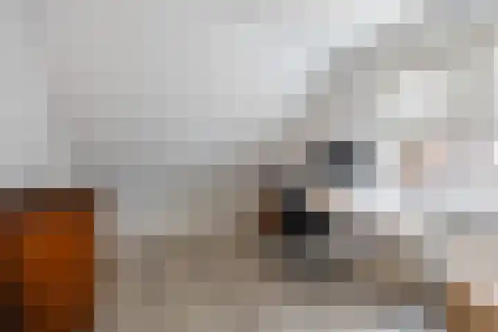 Ambachtshof 4 Bergharen thumbnail 44