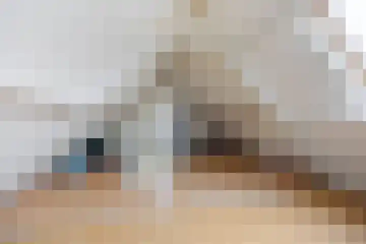 Ambachtshof 4 Bergharen thumbnail 47