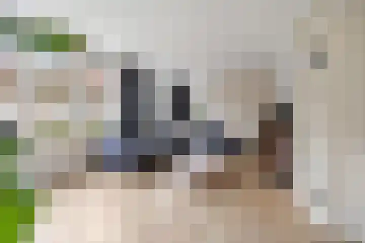 Ambachtshof 4 Bergharen thumbnail 5