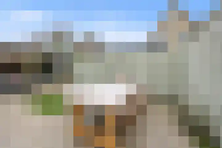 Ambachtshof 4 Bergharen thumbnail 50