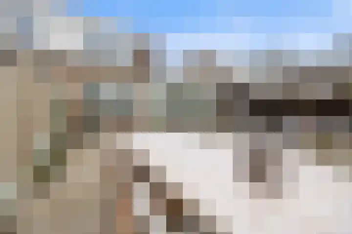 Ambachtshof 4 Bergharen thumbnail 51