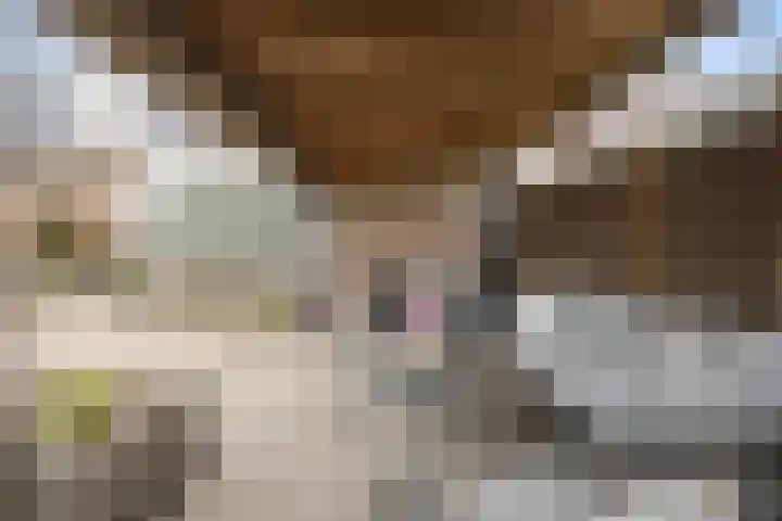 Ambachtshof 4 Bergharen thumbnail 53