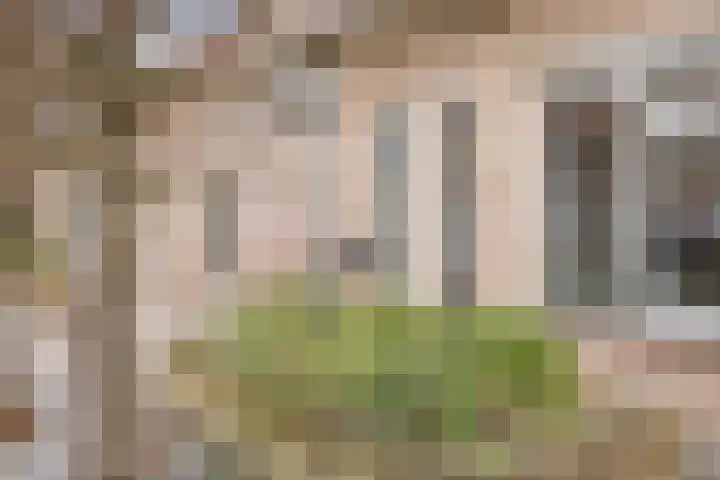 Ambachtshof 4 Bergharen thumbnail 58