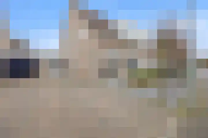 Ambachtshof 4 Bergharen thumbnail 59