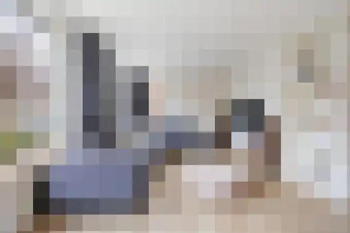 Ambachtshof 4 Bergharen thumbnail 6