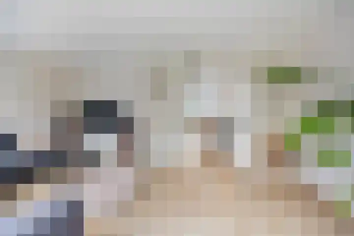 Ambachtshof 4 Bergharen thumbnail 8