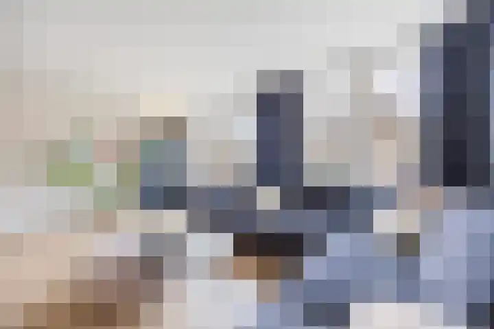 Ambachtshof 4 Bergharen thumbnail 9
