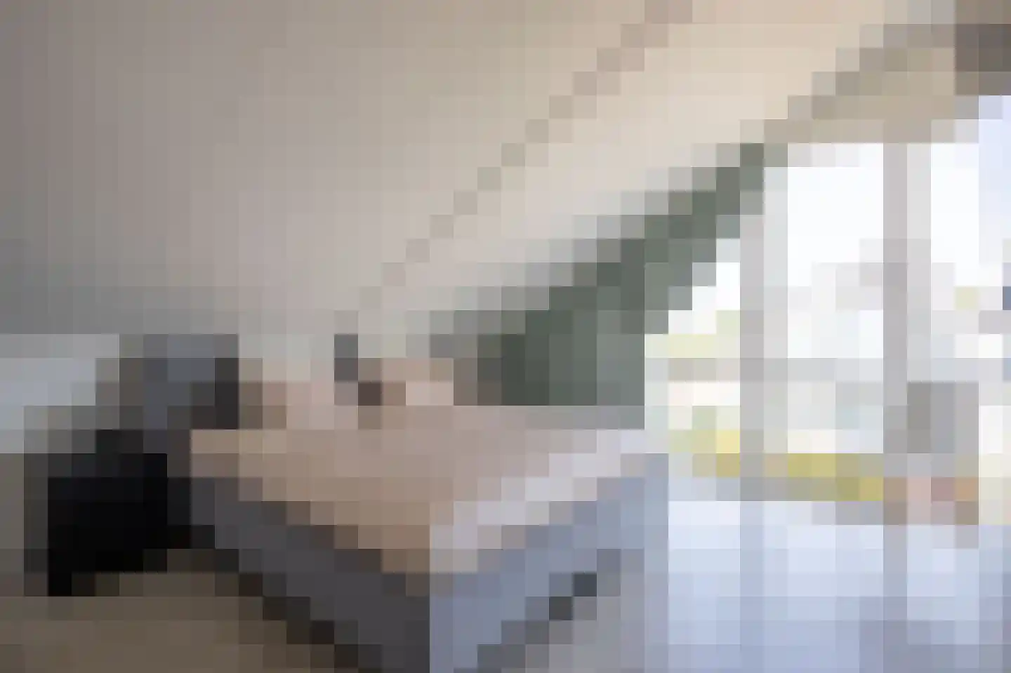 Ambachtshof 40 De Kwakel thumbnail 14
