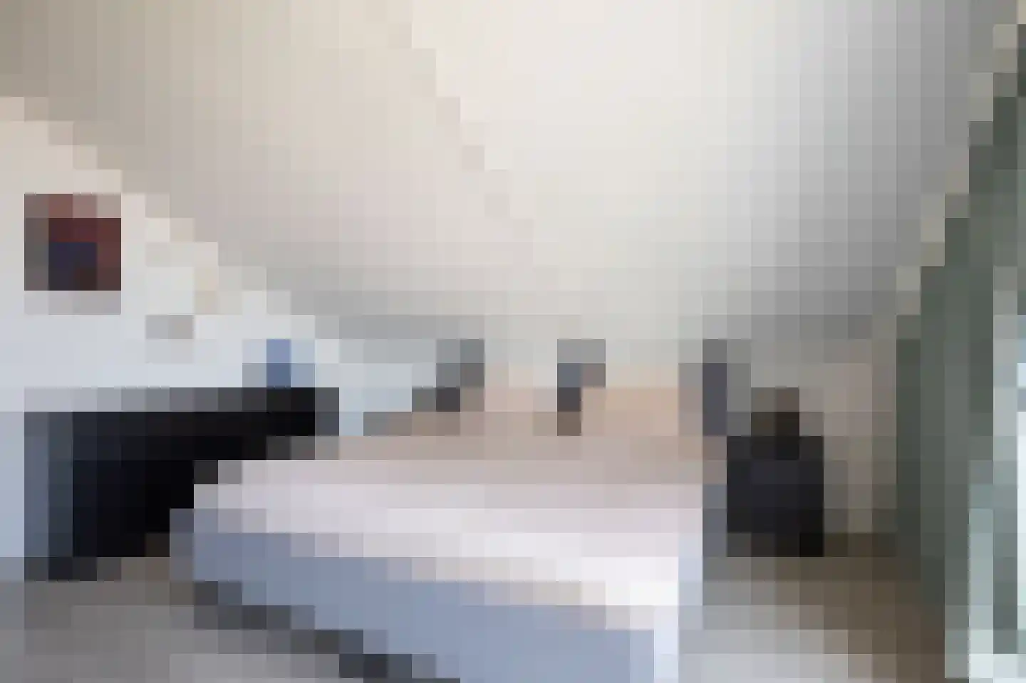 Ambachtshof 40 De Kwakel thumbnail 15