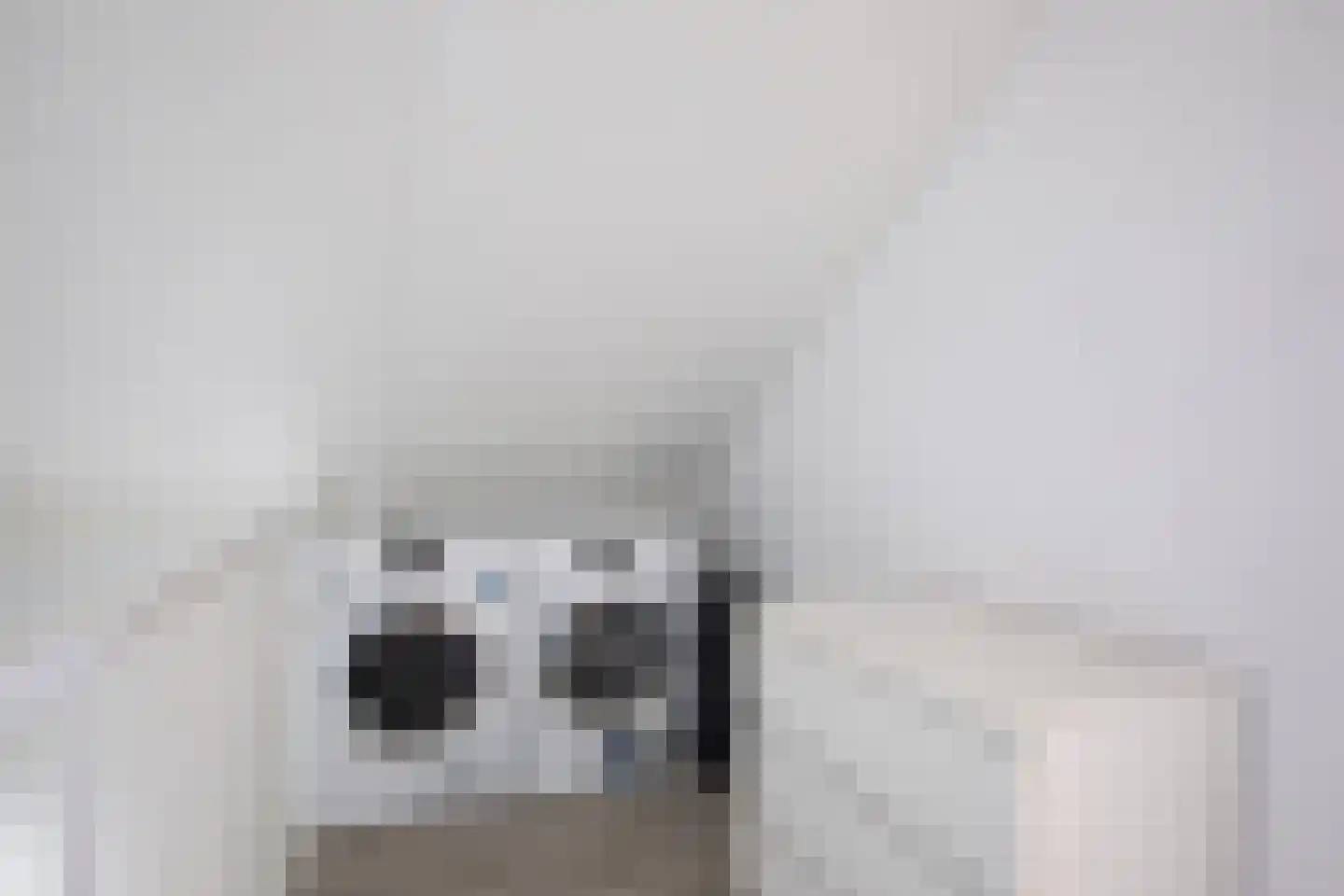 Ambachtshof 40 De Kwakel thumbnail 20
