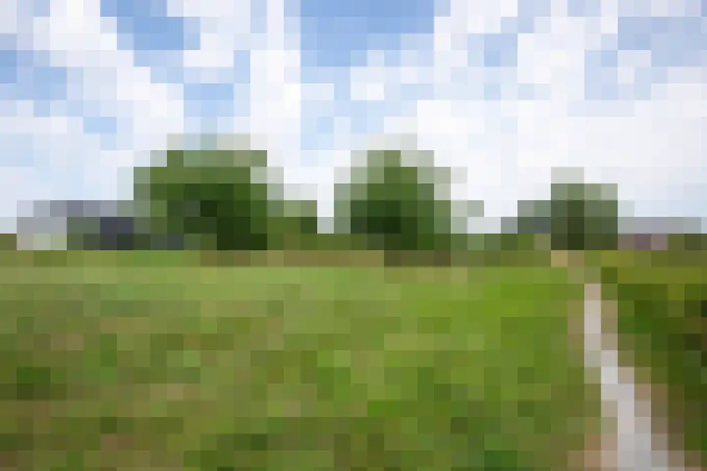 Ambachtshof 40 De Kwakel thumbnail 23