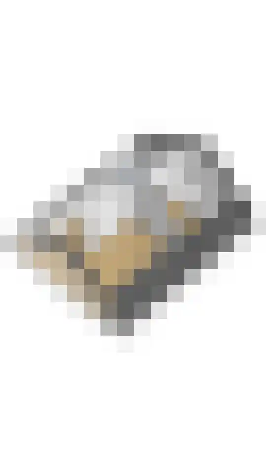 Ambachtshof 40 De Kwakel thumbnail 28