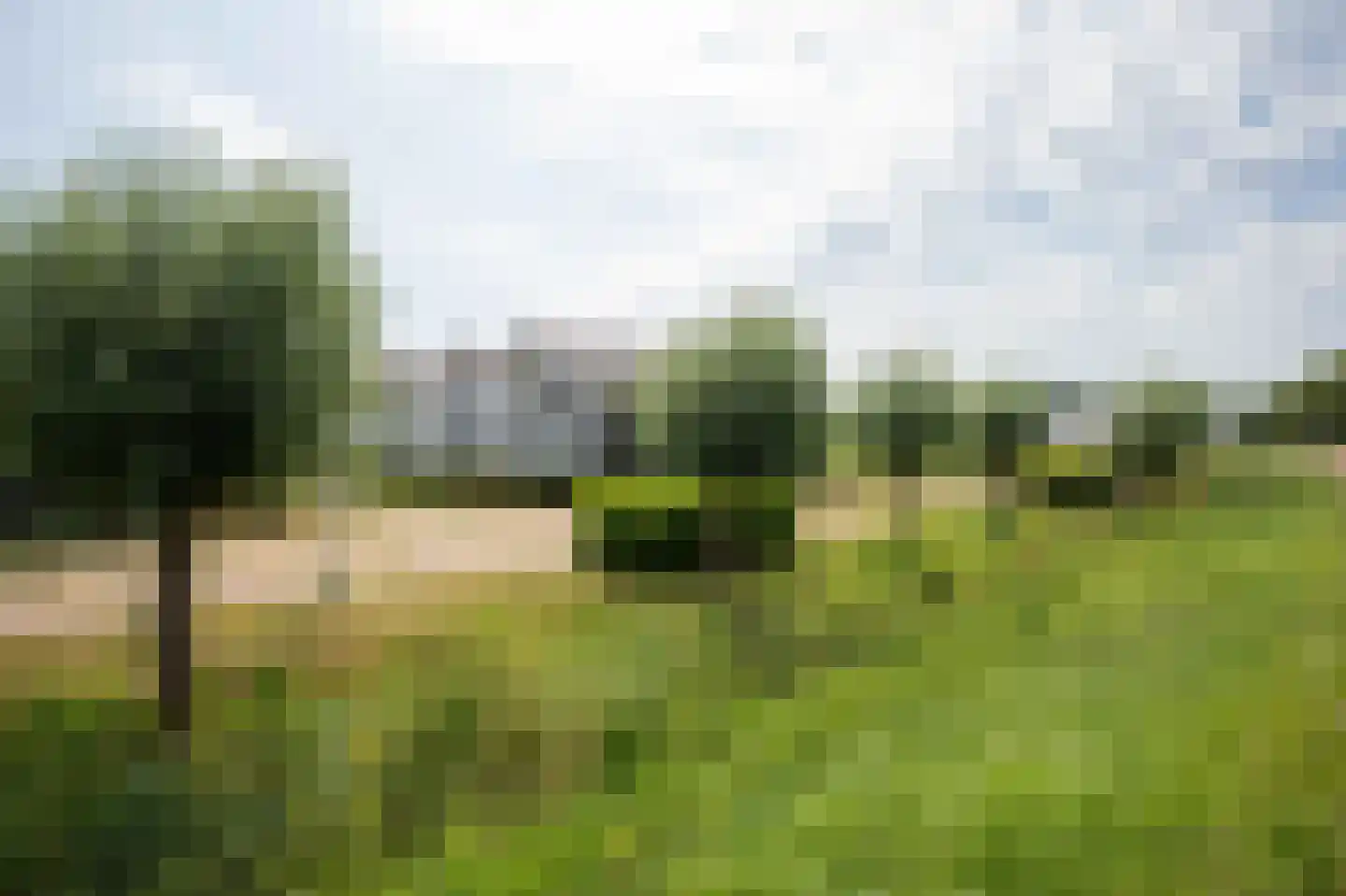 Ambachtshof 40 De Kwakel thumbnail 5