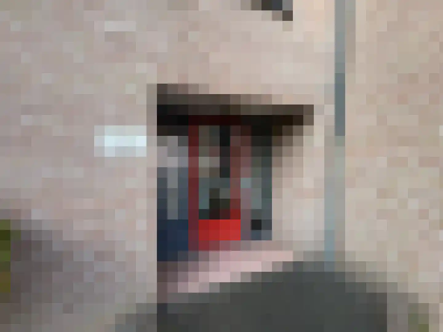 Ambachtshof 44 dans De Kwakel