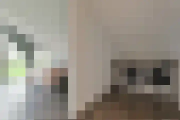 Ambachtshof 44 De Kwakel thumbnail 14