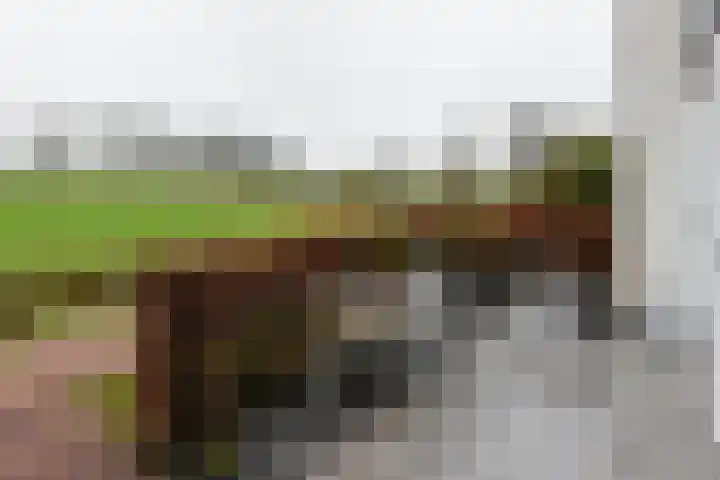 Ambachtshof 44 De Kwakel thumbnail 18