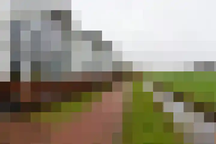 Ambachtshof 44 De Kwakel thumbnail 20