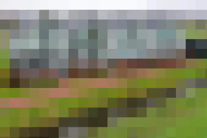 Ambachtshof 44 De Kwakel thumbnail 21