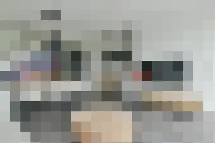 Ambachtshof 44 De Kwakel thumbnail 4