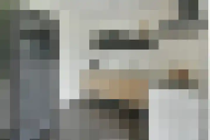 Ambachtshof 44 De Kwakel thumbnail 9