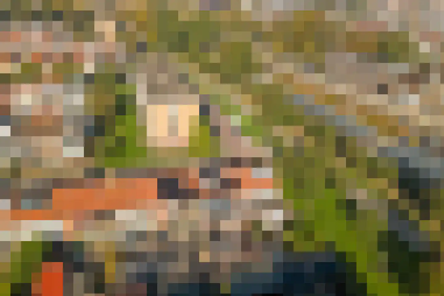 Ambachtshof 48 Bodegraven thumbnail 40