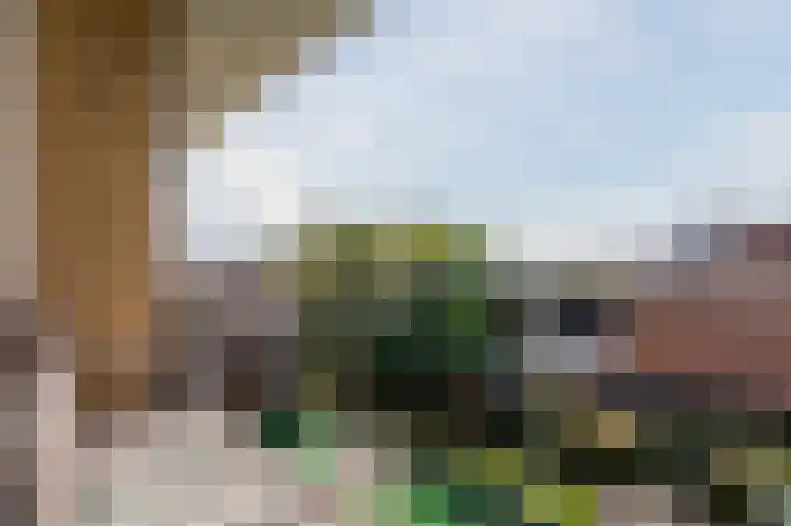 Ambachtshof 55 Bodegraven thumbnail 20
