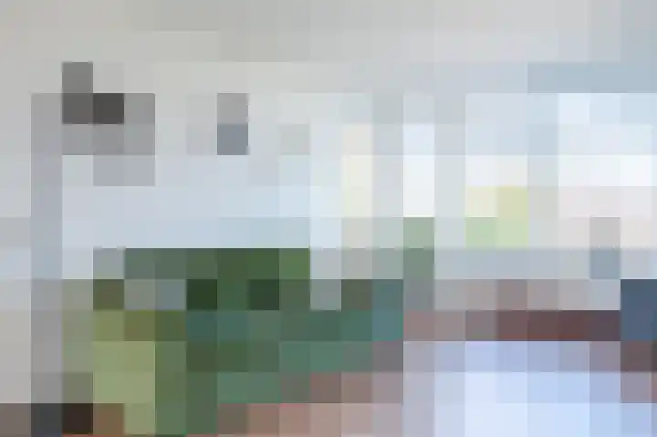 Ambachtshof 55 Bodegraven thumbnail 27