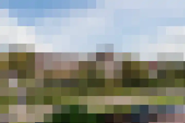 Ambachtshof 55 Bodegraven thumbnail 32