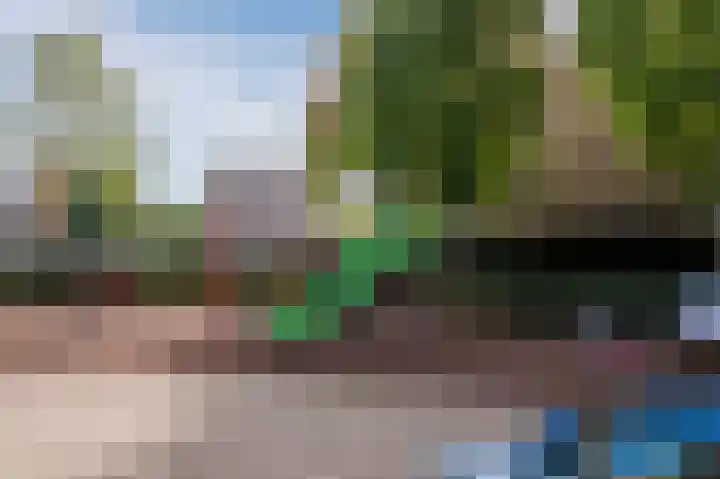 Ambachtshof 55 Bodegraven thumbnail 37