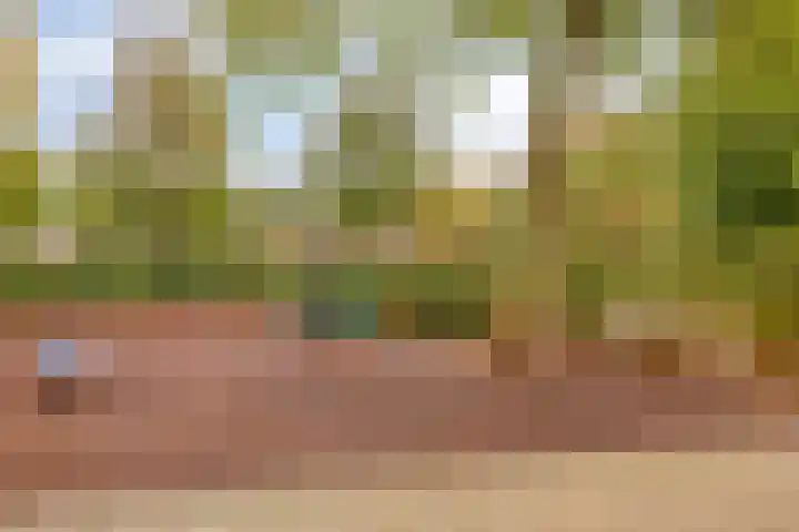 Ambachtshof 57 Bodegraven thumbnail 31