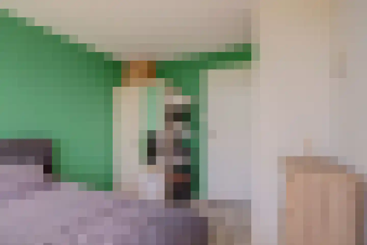 Ambachtshof 67 Bodegraven thumbnail 23