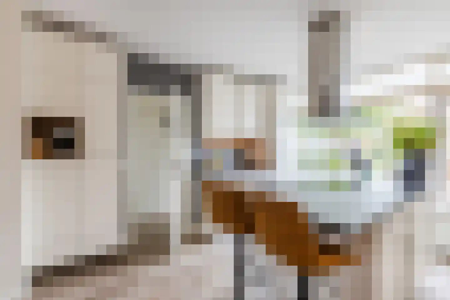 Ambachtshof 8 Bodegraven thumbnail 18