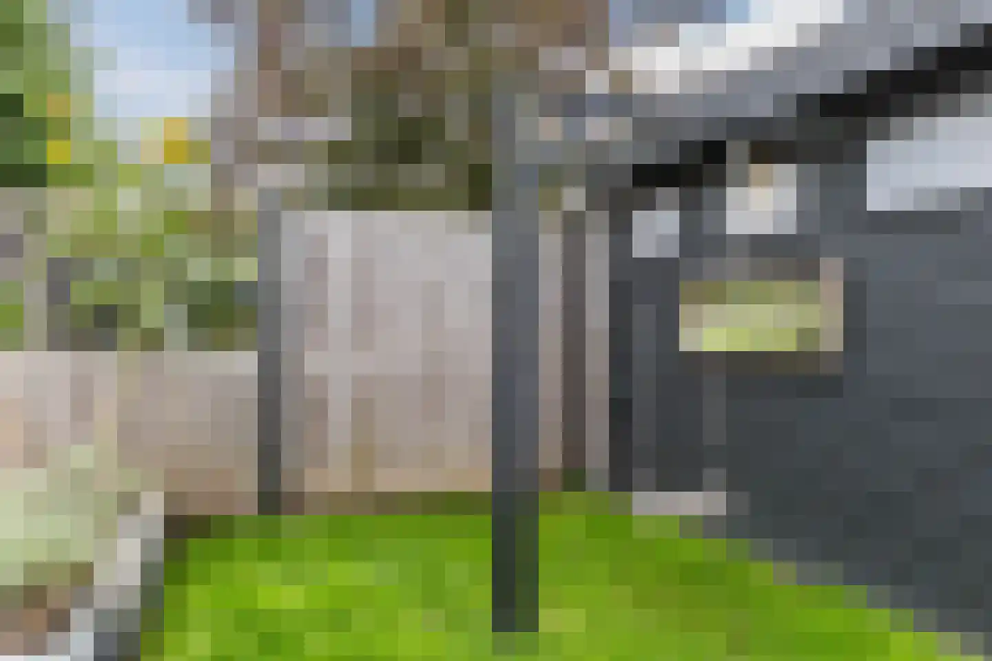 Ambachtshof 8 Bodegraven thumbnail 32