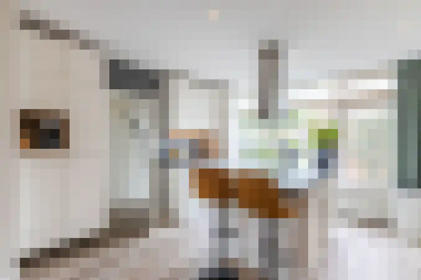 Ambachtshof 8 Bodegraven thumbnail 4