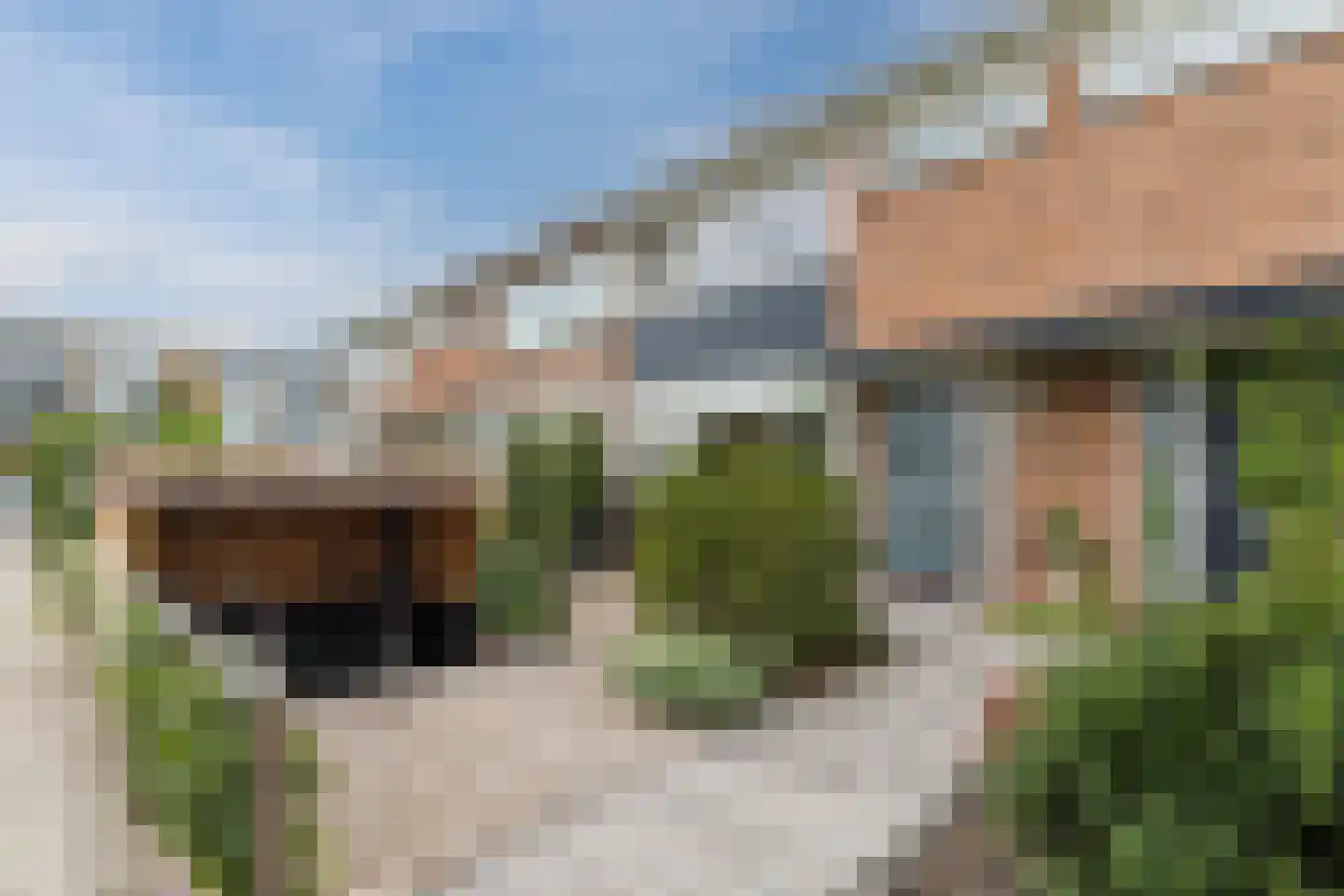 Ambachtshof 8 Bodegraven thumbnail 8
