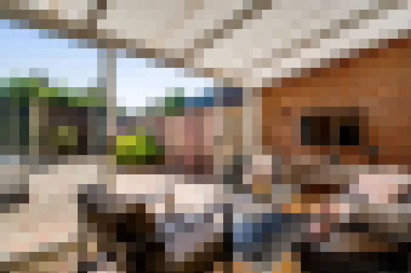 Ambachtsingel 28 Roermond thumbnail 12