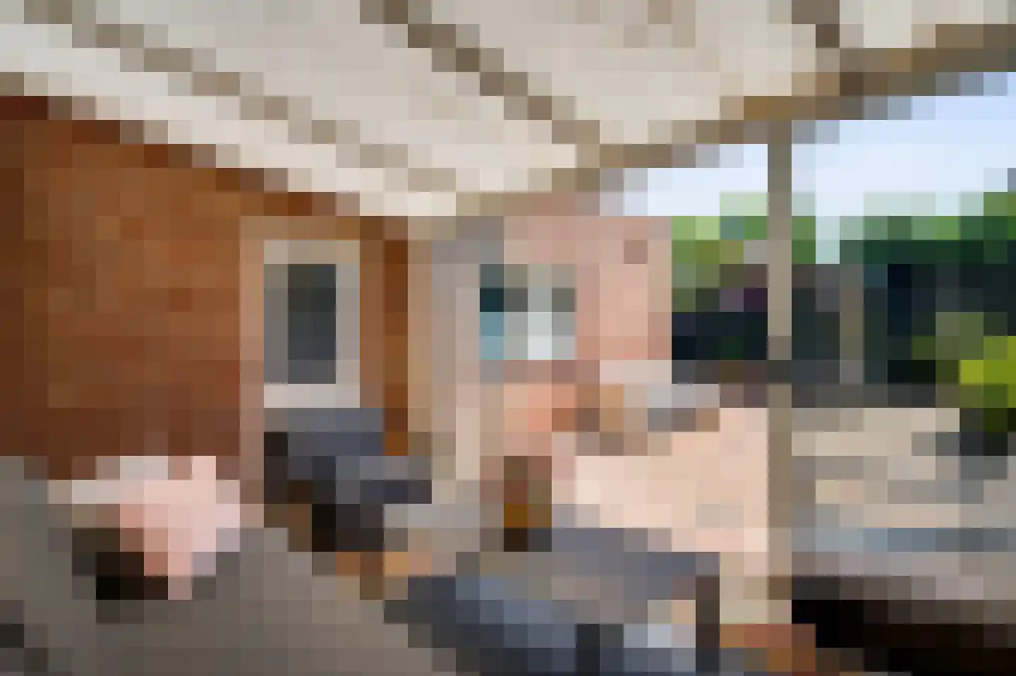 Ambachtsingel 28 Roermond thumbnail 13