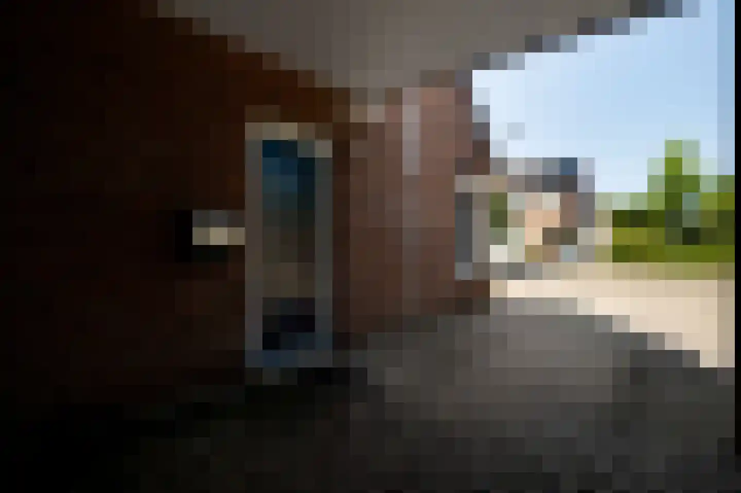 Ambachtsingel 28 Roermond thumbnail 5