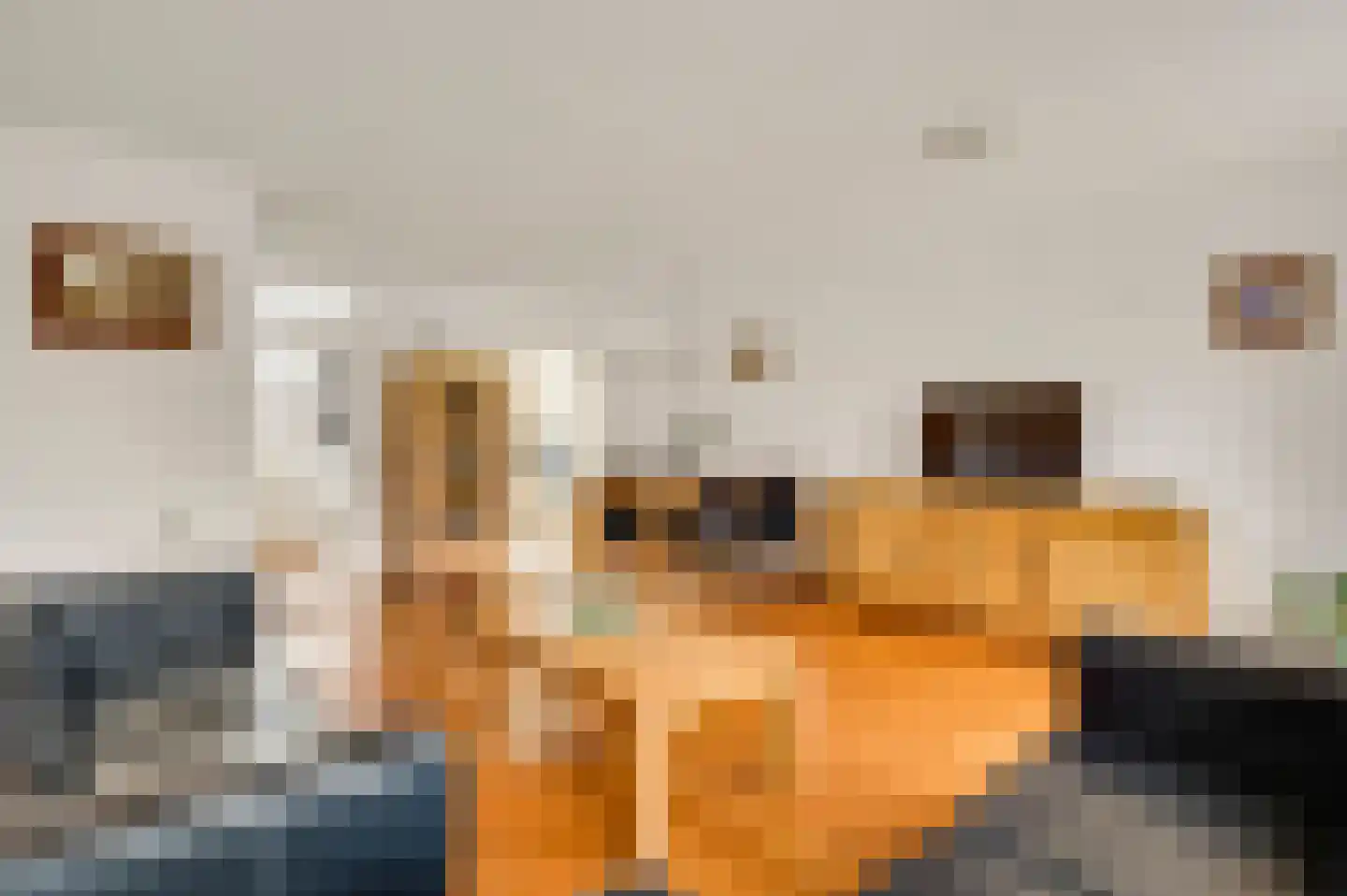 Ambachtsingel 41 Roermond thumbnail 6