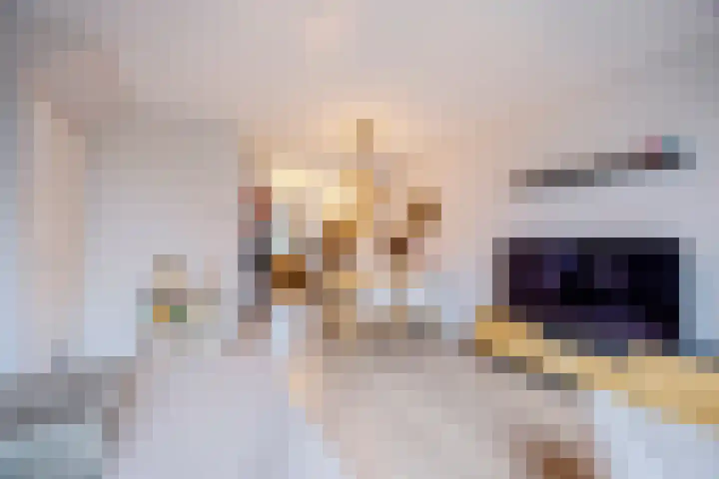 Ambachtslaan 10 B Assendelft thumbnail 6