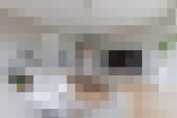 Ambachtslaan 17 Assendelft thumbnail 11